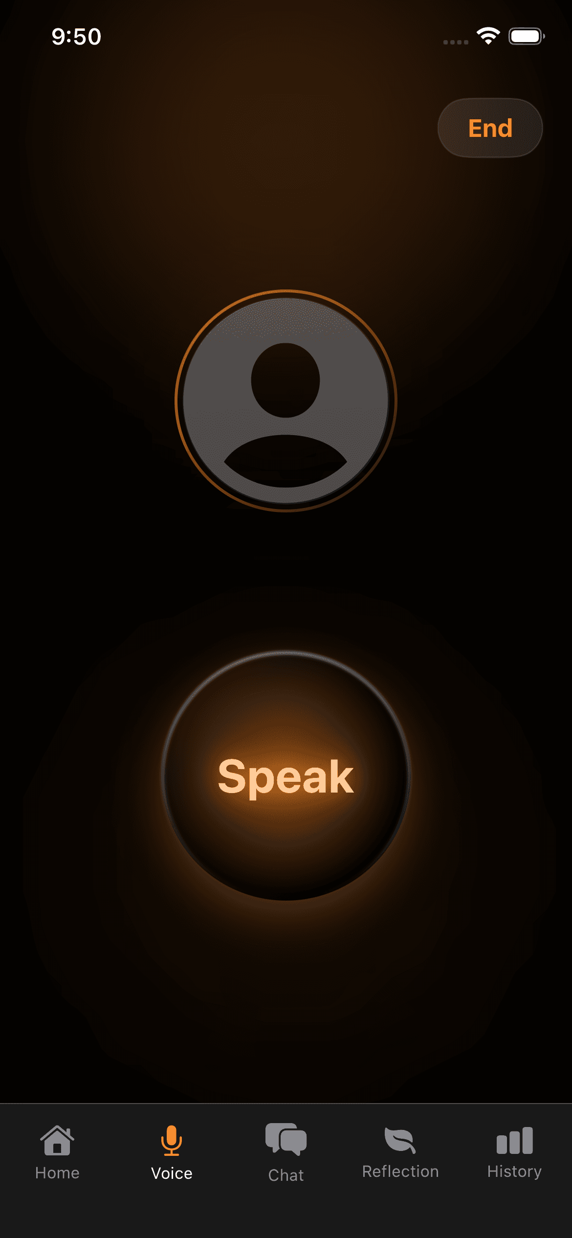 Voice Interface